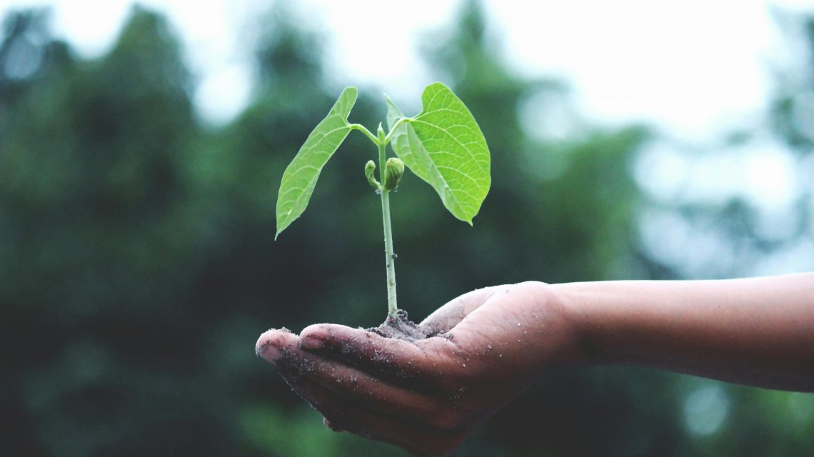 CIWM sustainability